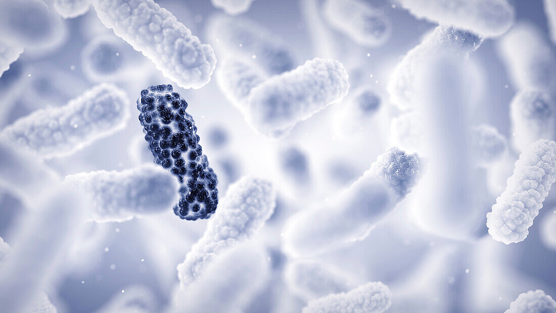 Antimicrobial resistance, conceptual illustration
