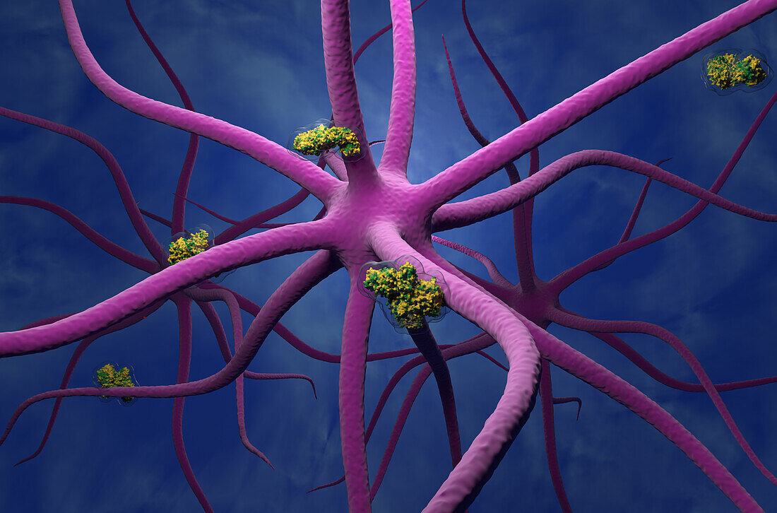 Botulinum toxin and nerve cells, illustration