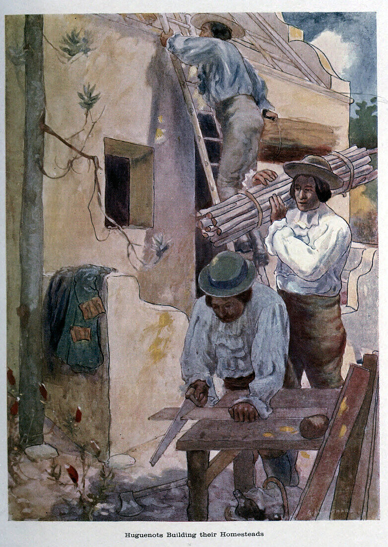 Huguenots building their homesteads, illustration