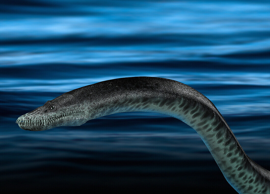 Loch Ness monster, illustration