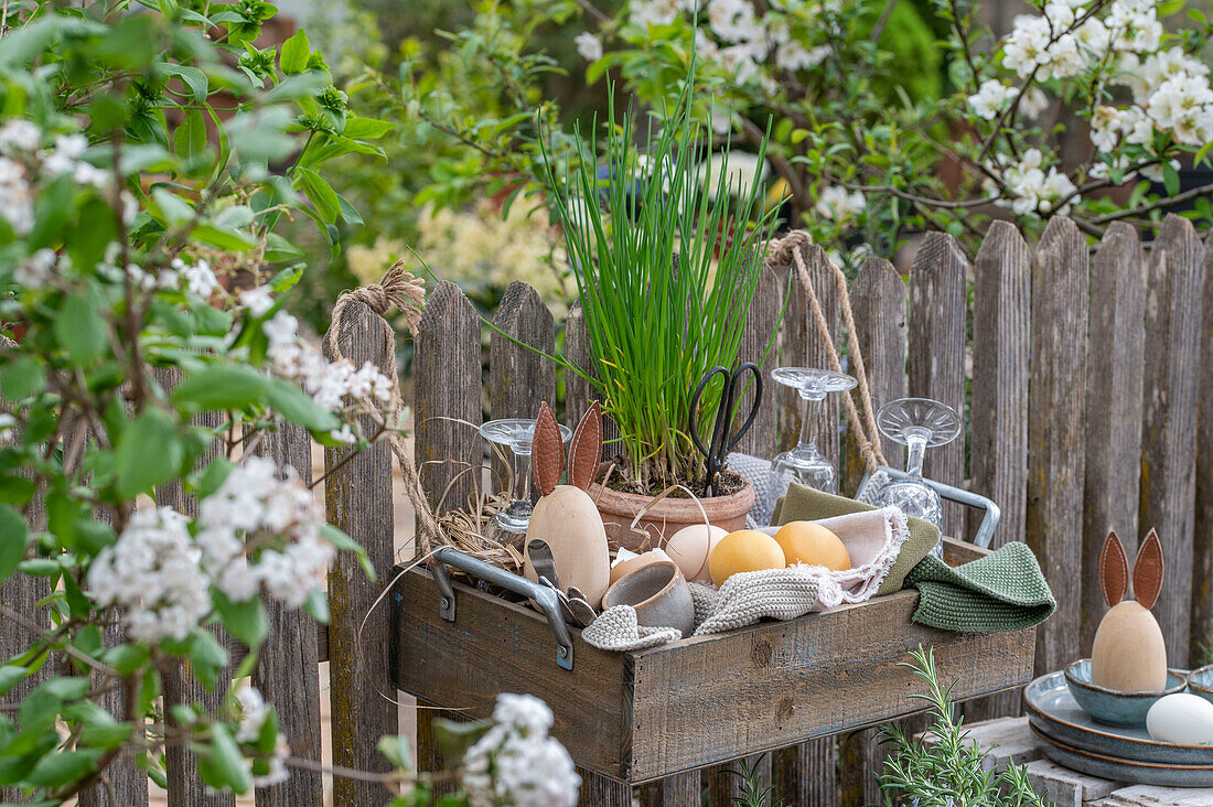 Schnittlauch im Topf mit Ostereiern, Geschirr  und Decke in Picknickkiste am Gartenzaun hängend vor Felsenbirne