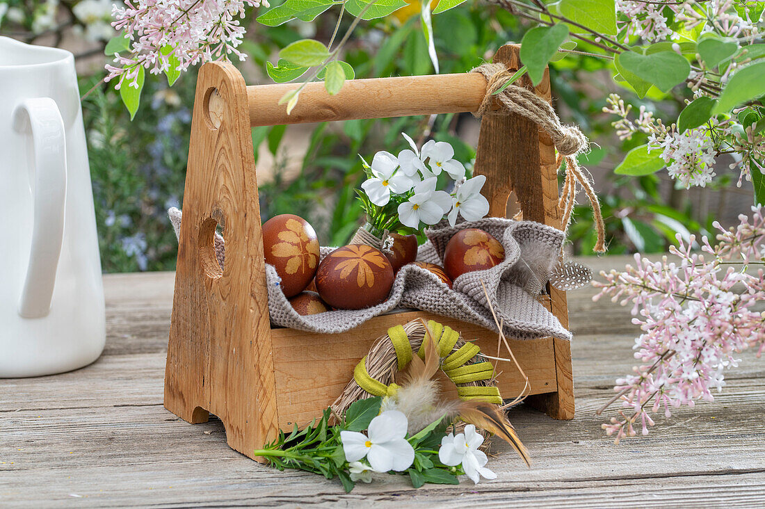 Wooden box filled with colored Easter eggs, violet flowers (Viola) and lilac flowers (Syringa microphylla Superba)