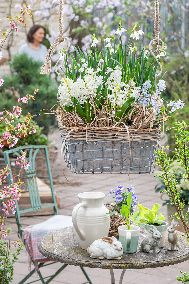 Hyazinthen (Hyacinthus), Kegelblume, Märzenbecher (Leucojum Vernum), in Blumenampel und Tisch mit Osterdeko, Hasenfiguren auf der Terrasse