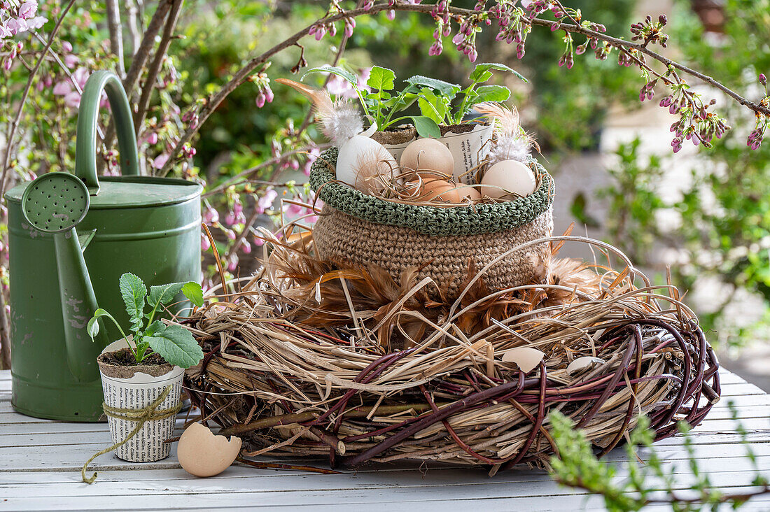 Hühnereier in Netztasche mit Eierschalen und Rettichpflanze (Raphanus), in großem Nest aus Zweigen neben Gießkanne