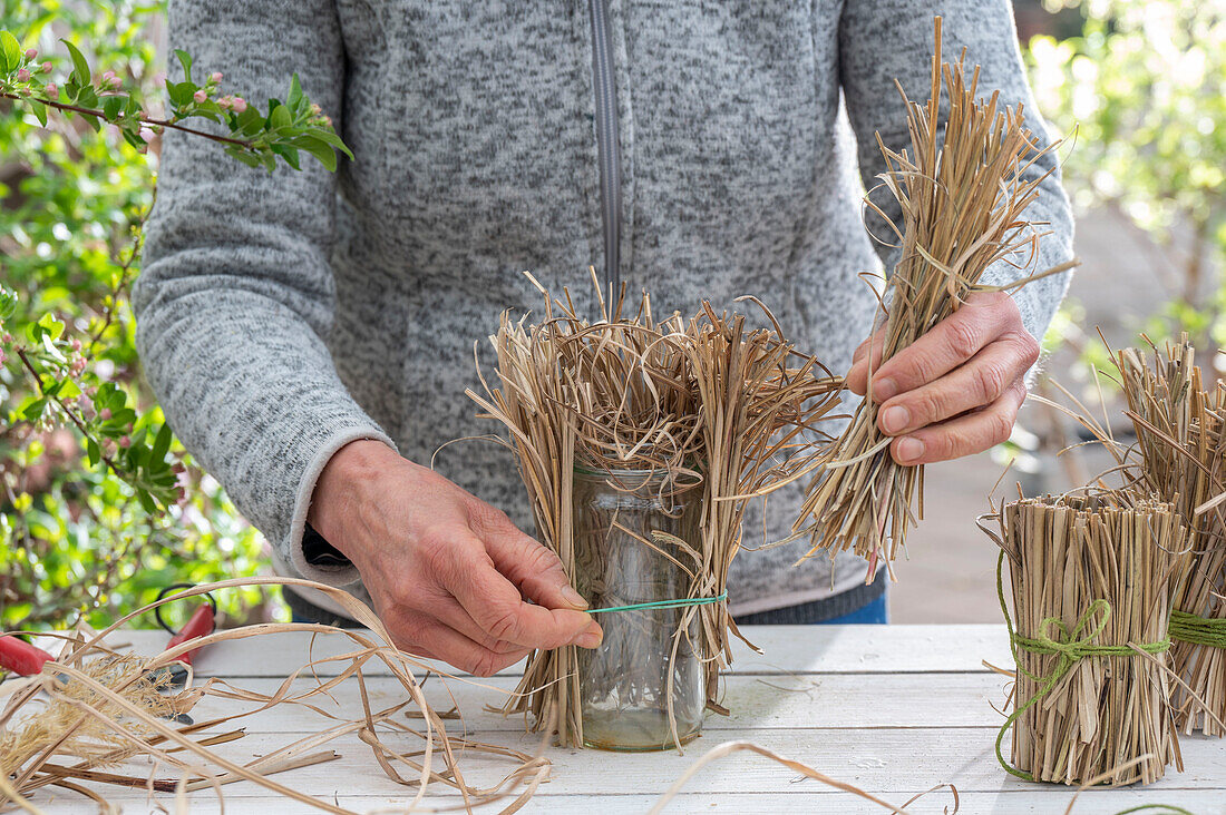 Glas verkleiden mit abgeschnittenem Feinhalm Chinaschilf (Miscanthus Sinensis) 'Gracillimus', Frau beim Basteln