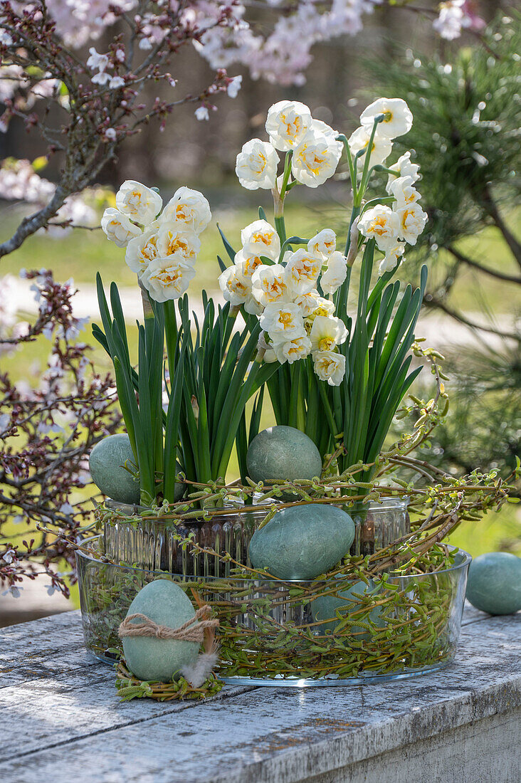 Strauß-Narzisse, Tazetten 'Bridal Crown' (Narcissus) in Blumentopf aus Glas auf Gartentisch mit Ostereiern