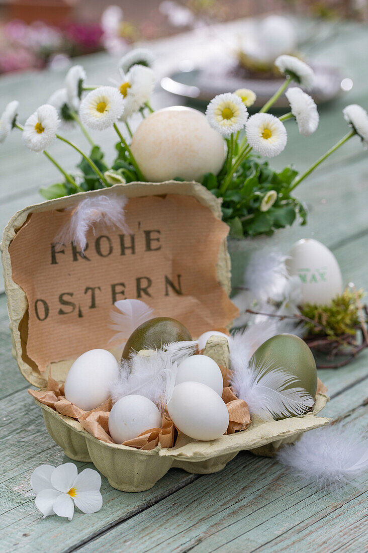 Coloured Easter eggs in egg pack with feathers and violet flowers, daisies (Bellis) in a pot, Easter greeting