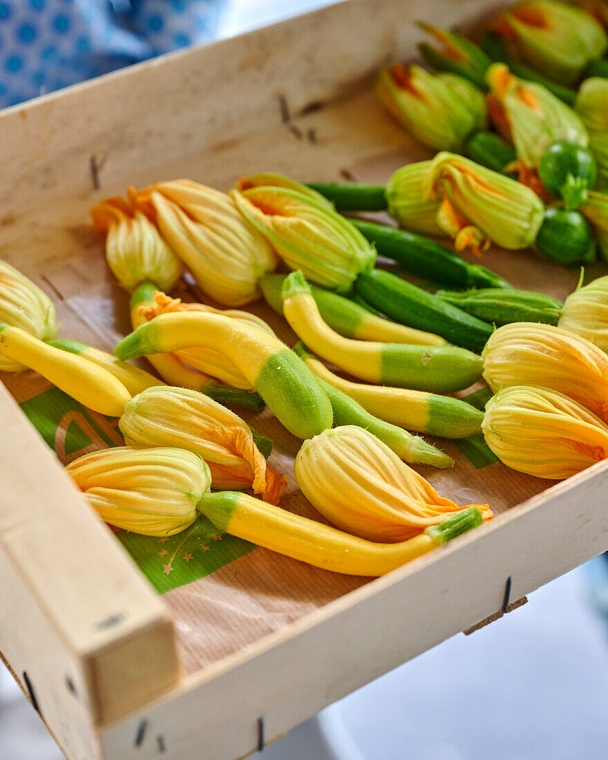 Yellow courgette and courgette flowers