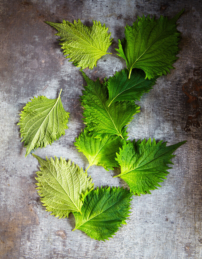 Shiso leaves