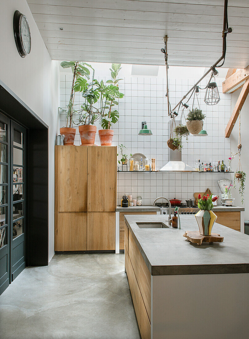 Modern kitchen with various plants, wooden cabinets and concrete worktop