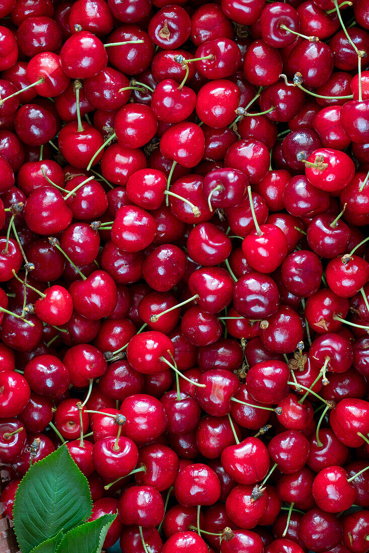 Cherries (picture-filling)