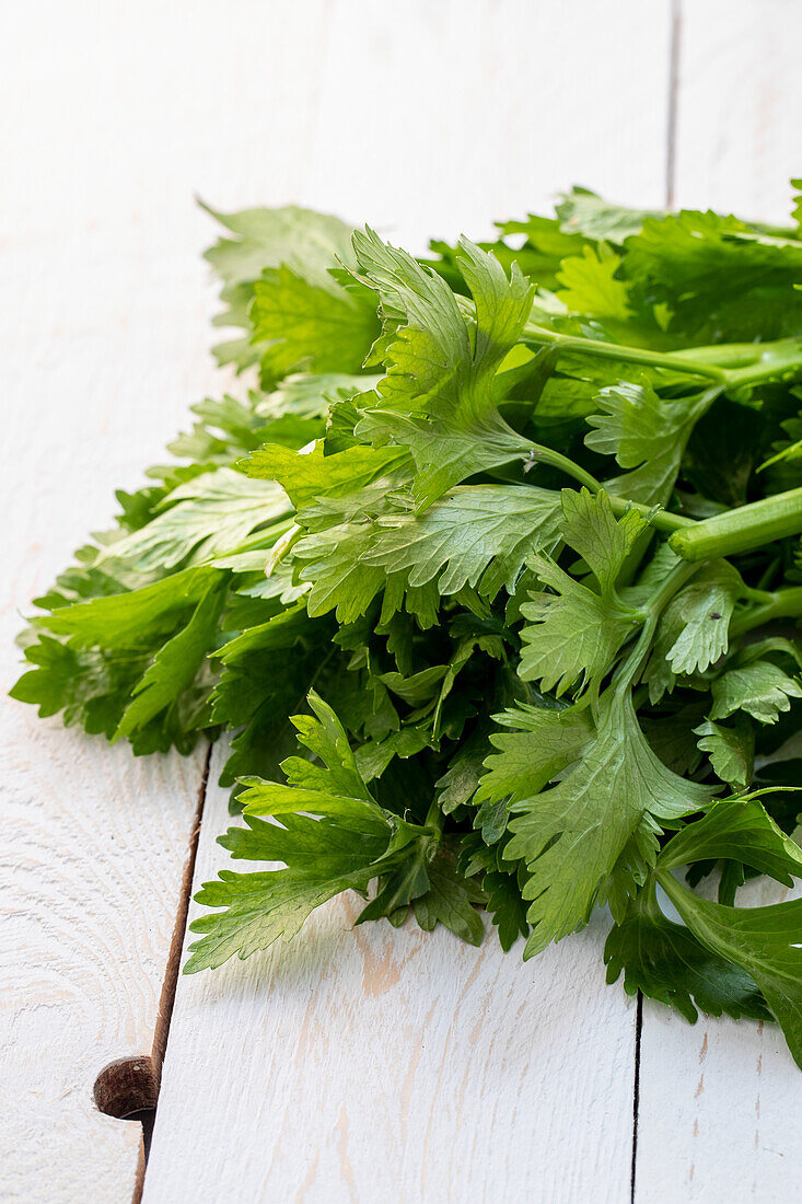 Celery leaves (close up)