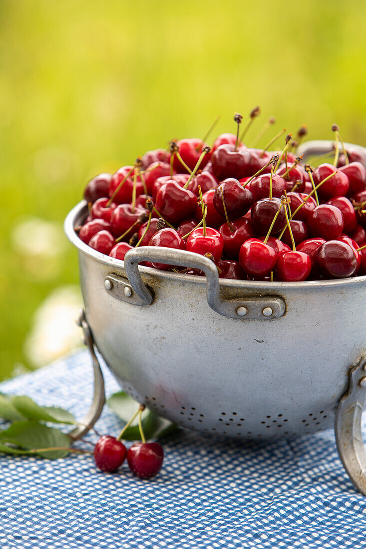 Red cherries in a metal sieve