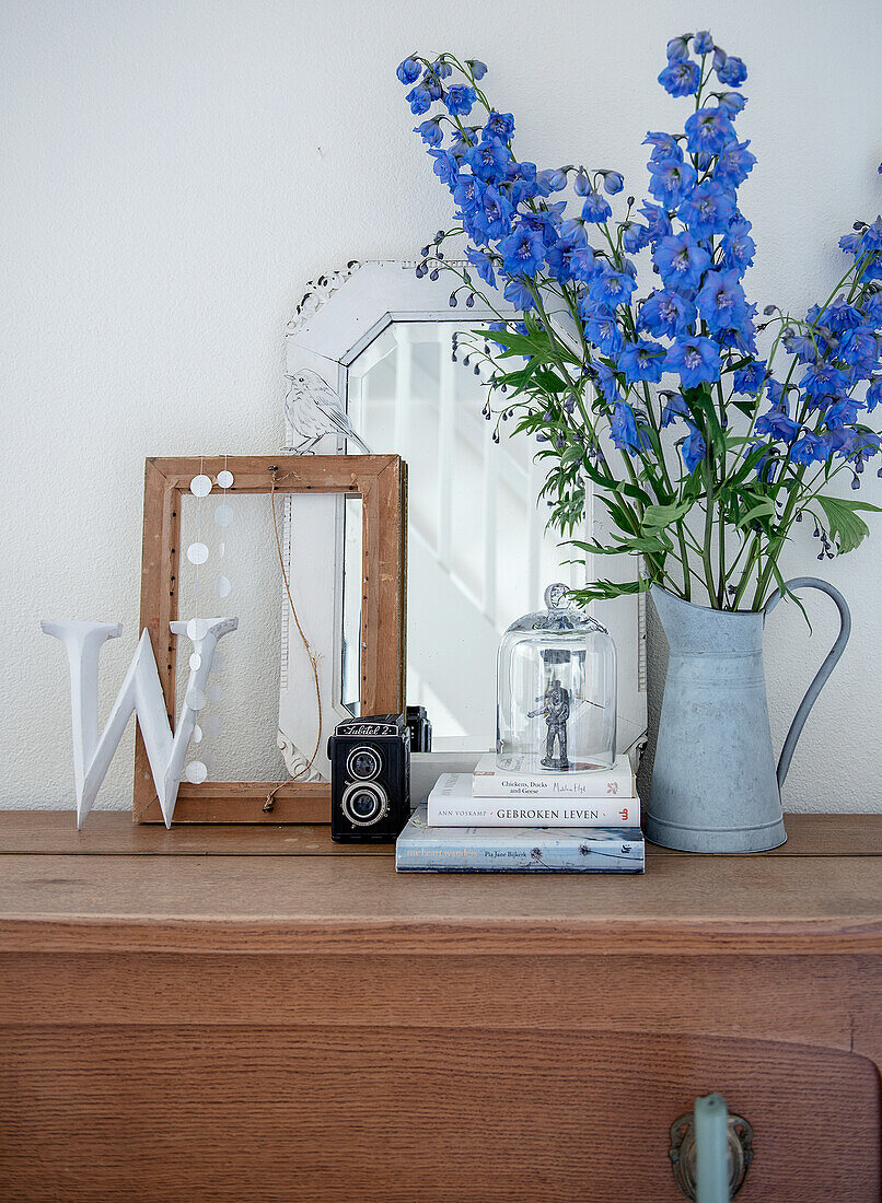 Blauer Rittersporn (Delphinium) in Zinkgießkanne und Dekorationsobjekte auf Holzkommode