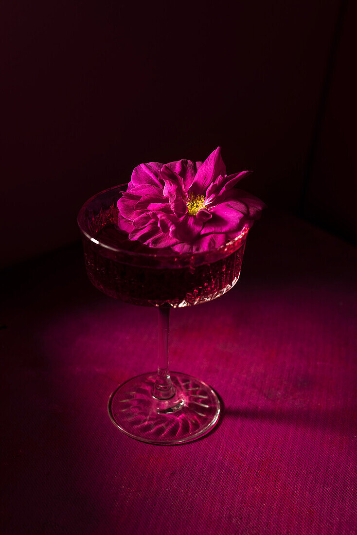 Red cocktail with wild rose blossom garnish
