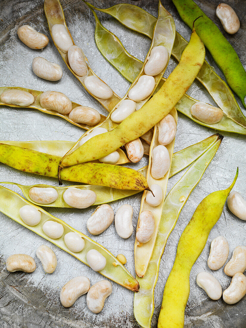 White beans and pods