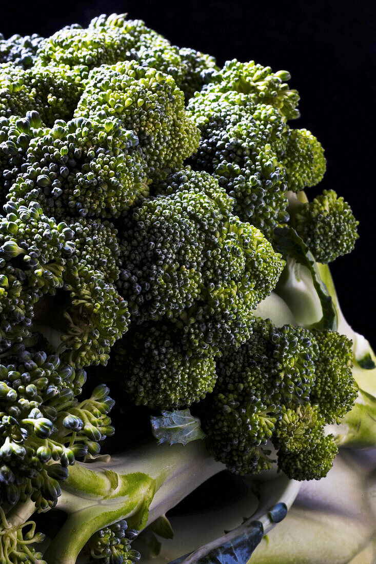 Broccoli close up