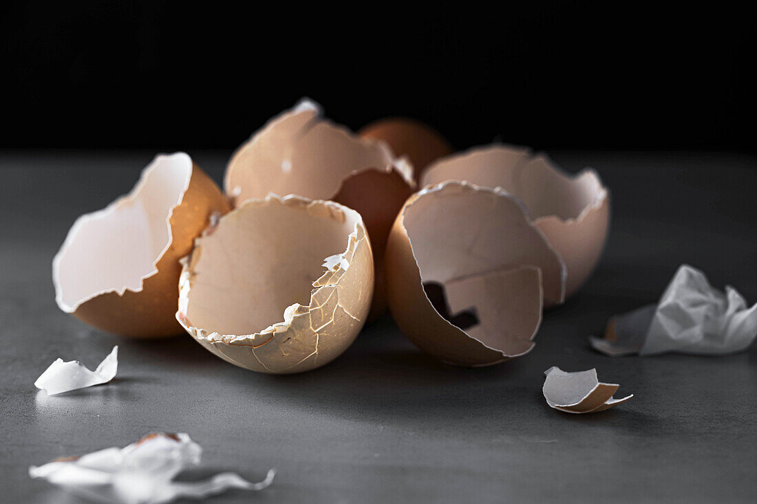 Empty eggshells with dark background