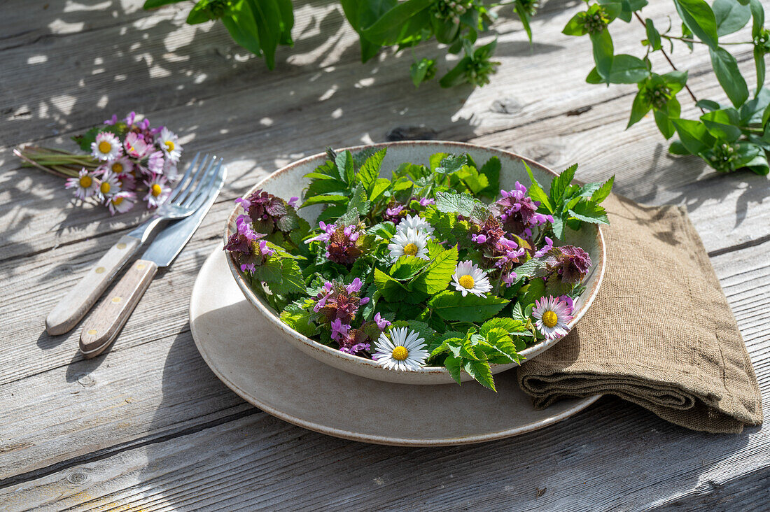 Wild herb salad with daisies, goutweed, nettle, red deadnettle