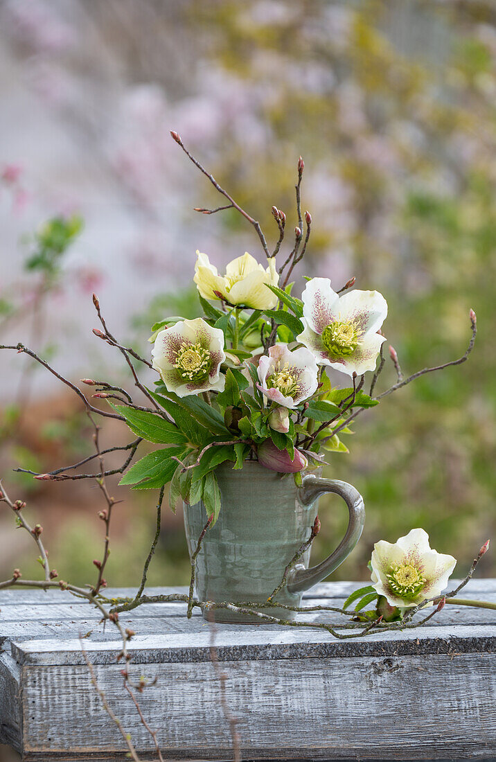 Lenzrose Hybride 'White Spotted Lady' (Helleborus Orientalis), kleiner Strauß in Vase auf Gartentisch