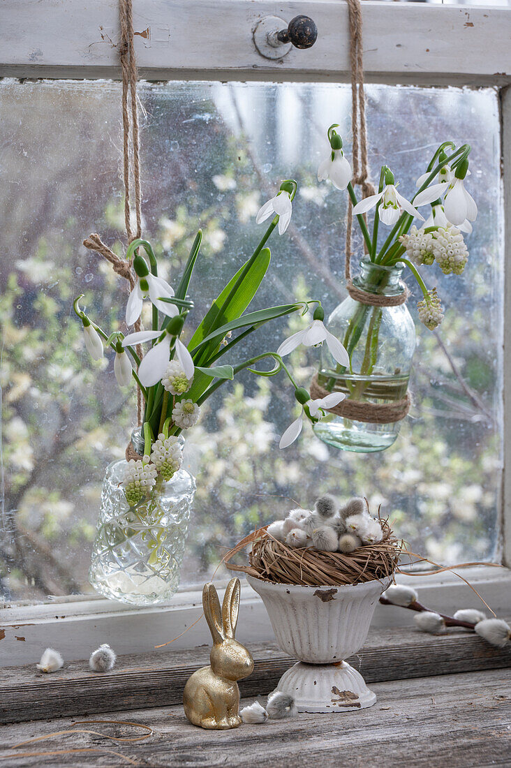 Traubenhyazinthe 'Withe Magic' (Muscari) und Schneeglöckchen (Galanthus) in hängenden Blumenvasen vor Fenster und Osterhasenfigur