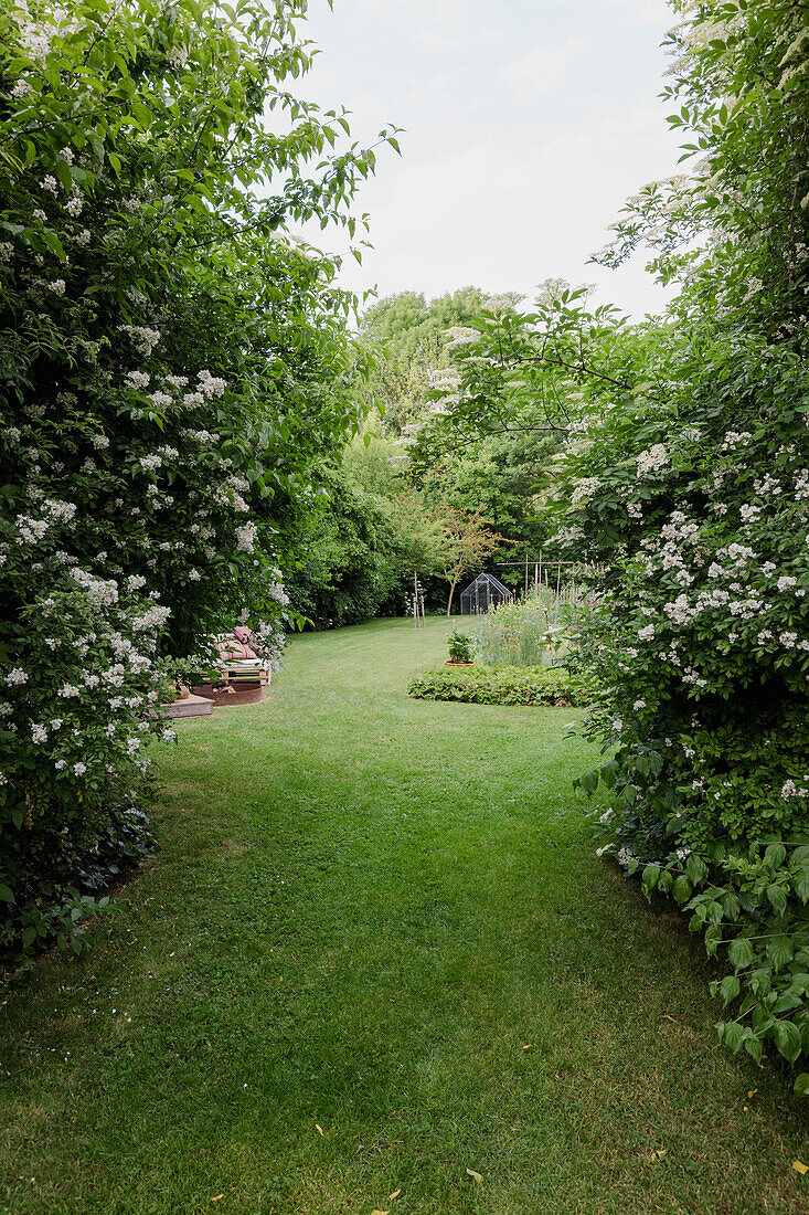 Weitläufiger Garten mit blühenden Sträuchern im Sommer