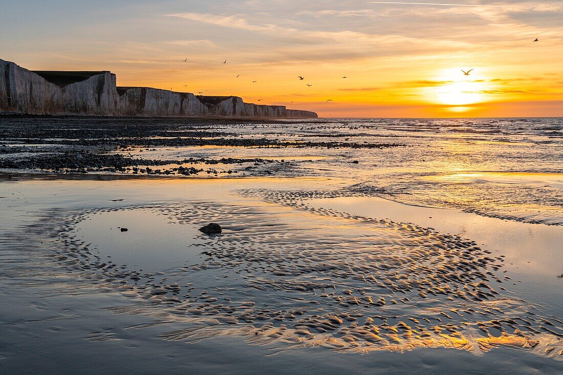 Frankreich,Somme,Ault,Sonnenuntergang auf den Klippen am Strand von Ault,Spaziergänger und Fotografen bewundern die Landschaft und Seevögel