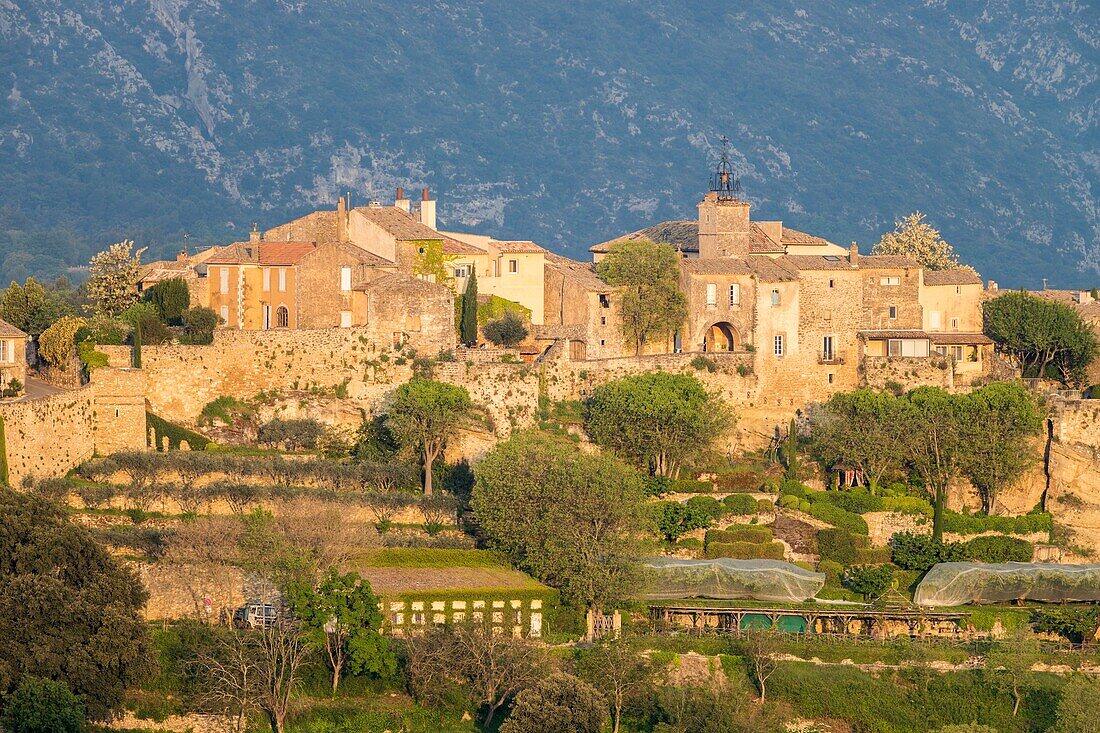 France,Vaucluse,regional natural park of Luberon,Ménerbes,labeled the Most Beautiful Villages of France