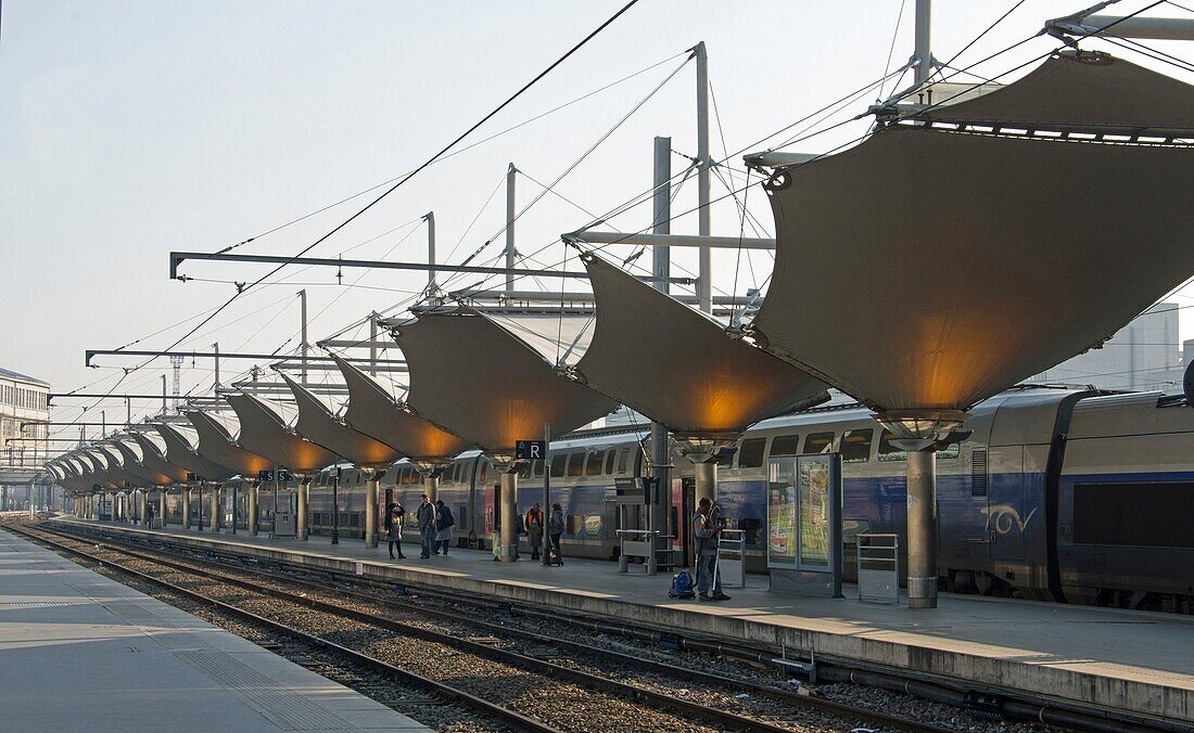 France,Paris,train platforms of Lyon station