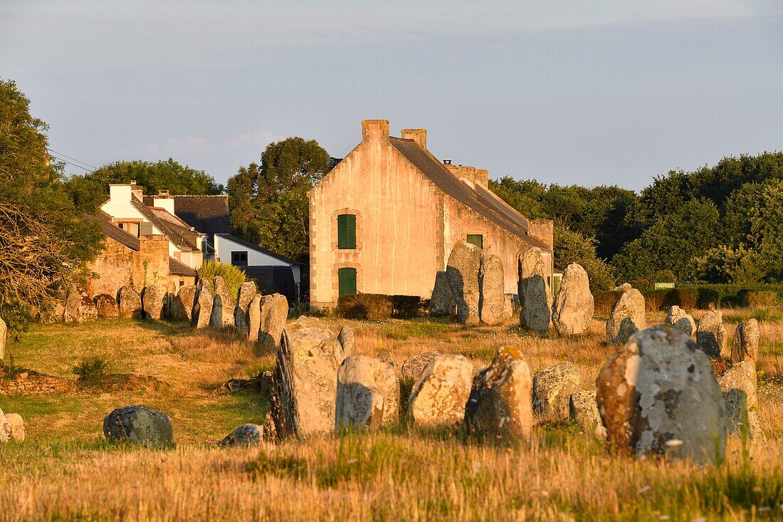 France,Morbihan,Carnac,megalithic site of Menec