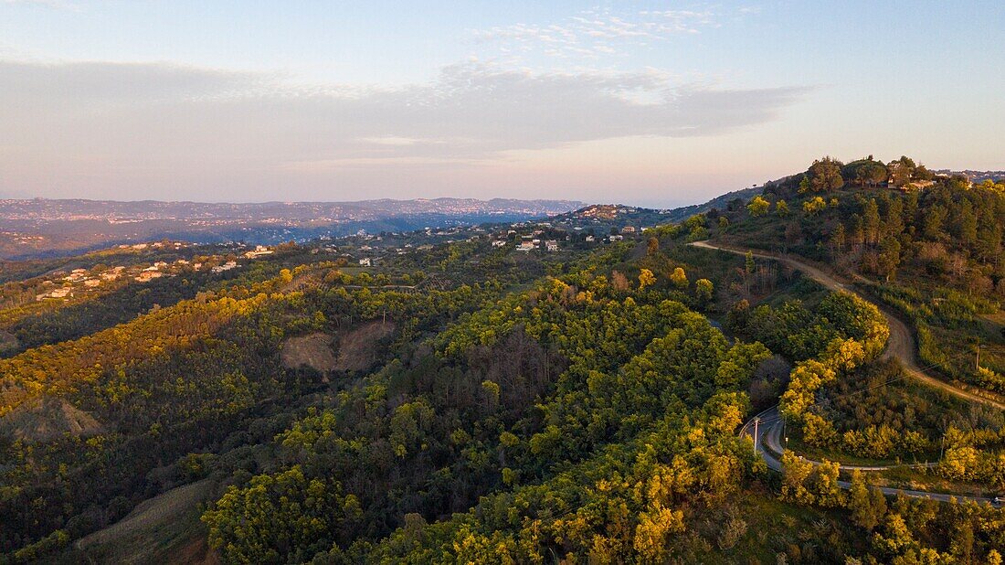 Frankreich,Var,Tanneron-Massiv,Tanneron,Mimosenstraße (Luftaufnahme)