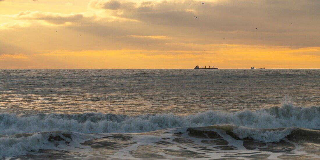 Frankreich,Pas de Calais,Opalküste,Authie Bucht,Ambleteuse,Durchfahrt von Frachtschiffen und Containerschiffen im Kanal bei Sonnenuntergang