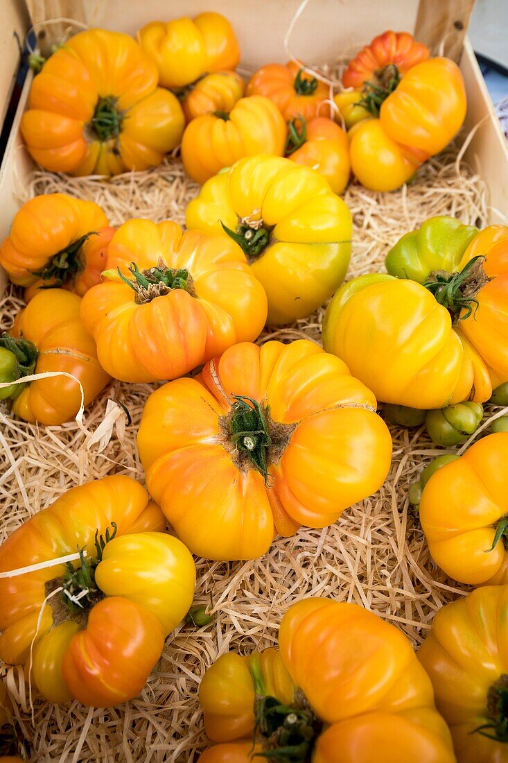 France,Vaucluse,regional natural park of Luberon,Ménerbes,labeled the Most Beautiful Villages of France,yellow tomato stall