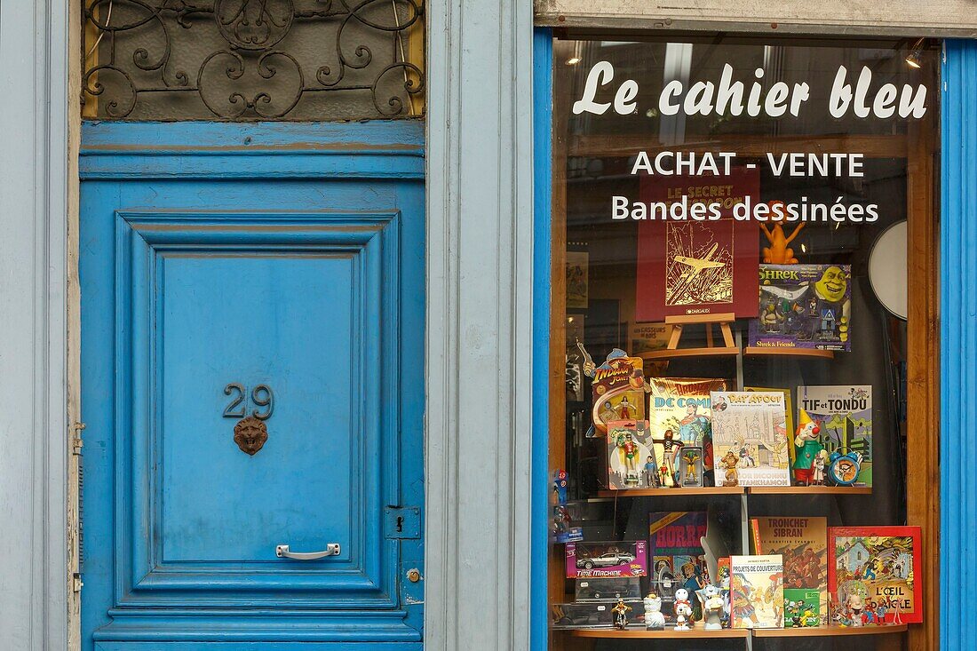 France,Meurthe et Moselle,Nancy,bookshop Le Cahier Bleu in Soeurs Macarons street