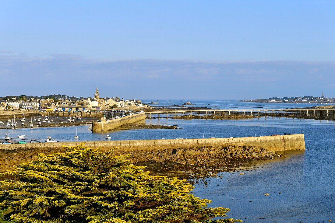 France,Finistere,Roscoff,harbour with the clocktower (1701) of Notre-Dame de Croaz Batz church