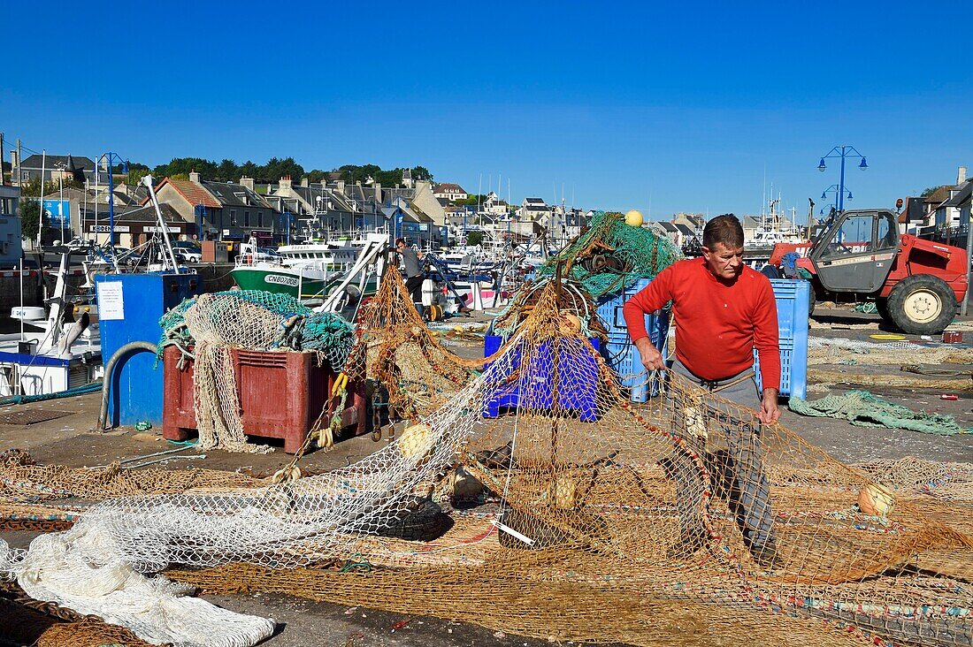 France,Calvados,Cote de Nacre,Port en Bessin,the fishing port,fisherman repairing fishing nets