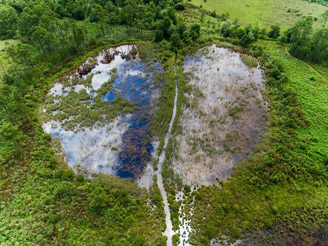 France,Gironde,Val de L'Eyre,Parc Naturel Régional des Landes de Gascogne,the lagoons of Gat Mort,a remnant of the moor of other times (aerial view)