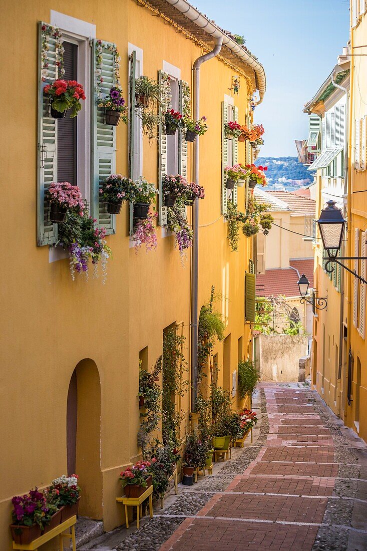 France,Alpes-Maritimes,Menton,old town,rue de la Conception