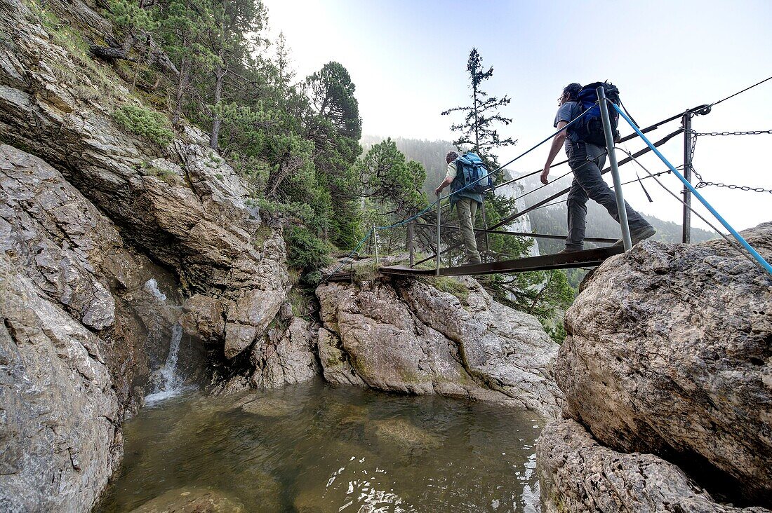 Frankreich,Haute Savoie,Massiv des Bornes,Glieres-Plateau,Wanderung zum Molkereifeld am Fuße des Roc,Fußgängerbrücke über den Wildbach Nant des Grassets