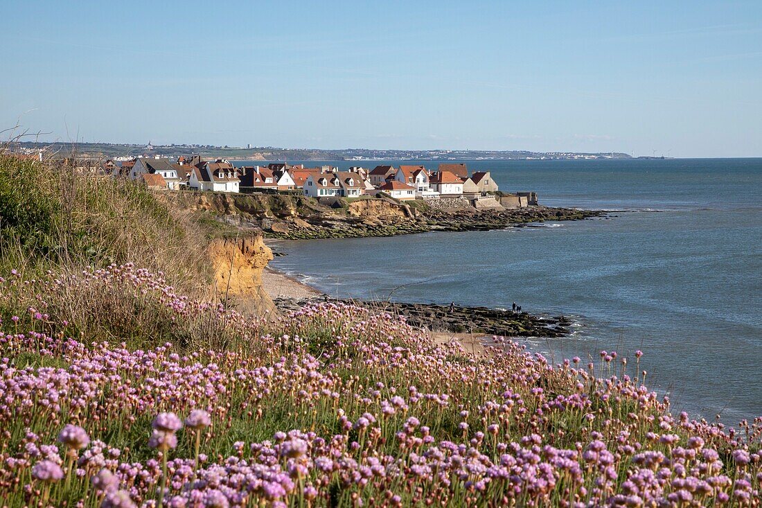 Frankreich,Pas de Calais,Audresselles,Strand der Pointe du Nid de Corbet