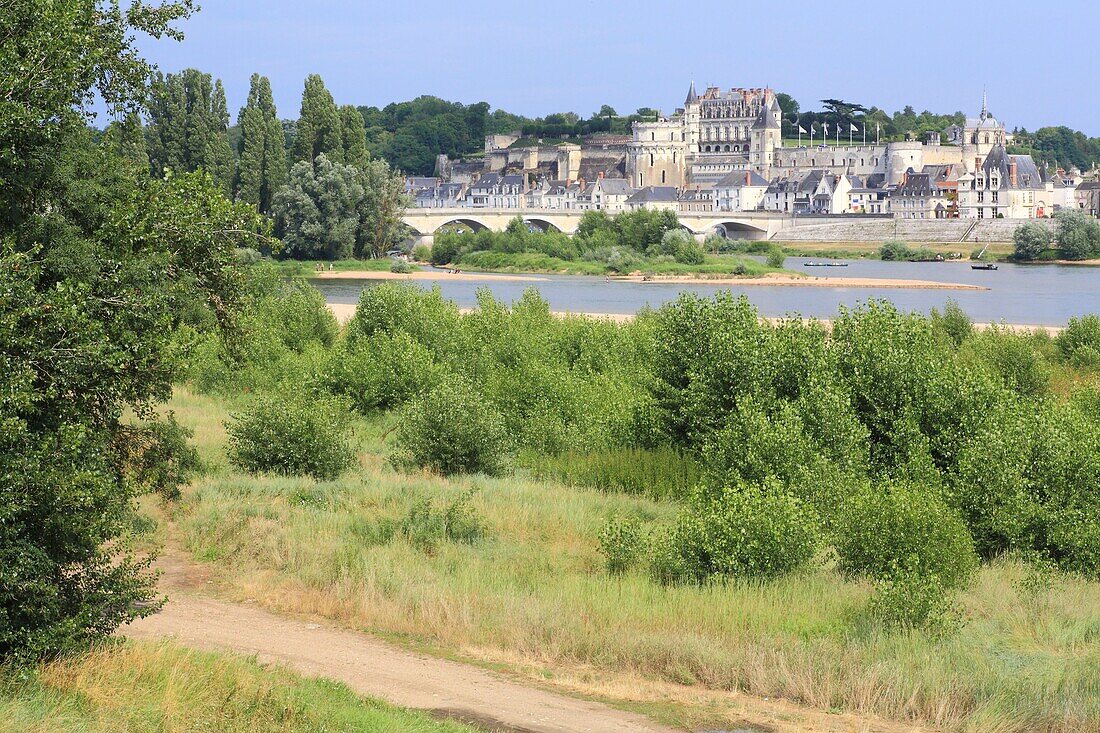 Frankreich,Indre et Loire,Loire-Tal, das von der UNESCO zum Weltkulturerbe erklärt wurde,Amboise,das Dorf und sein Schloss