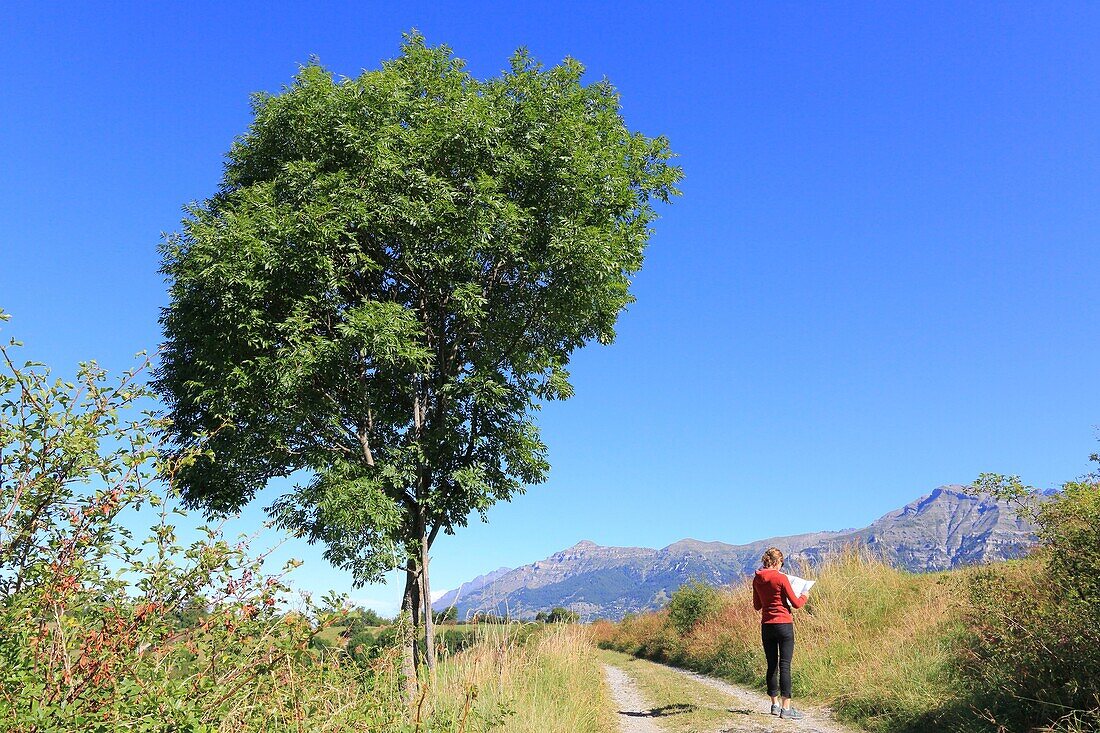 France,Hautes Alpes,Haut Champsaur,Ancelle,hiker