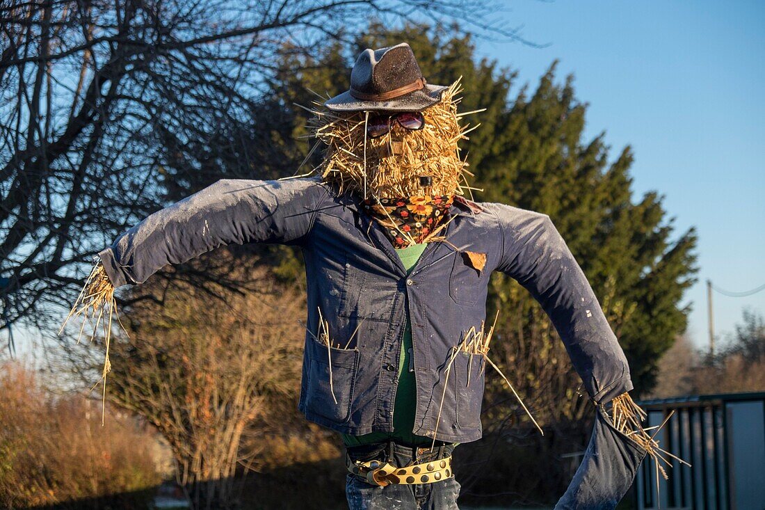 France,Puy de Dome,scarecrow