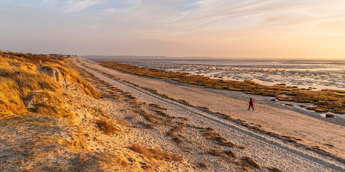 France,Somme,Baie de Somme,Le Crotoy,the Crotoy beach and the Baie de Somme seen from the dunes that line the bay