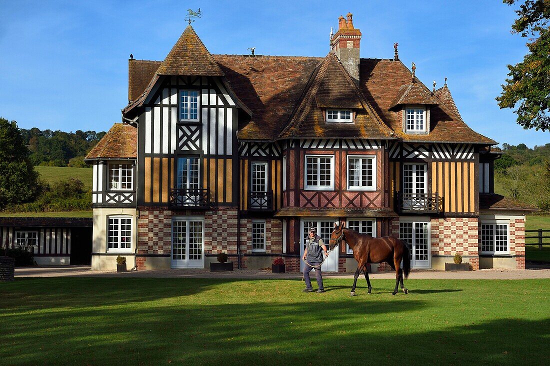 Frankreich,Calvados,Pays d'Auge,Beuvron en Auge,ausgezeichnet als Les Plus Beaux Villages de France (Die schönsten Dörfer Frankreichs),Herrenhaus des Haras de Sens,das Pferd Gold de Padd (Sohn des Hengstes Ready Cash) im Besitz des Pferdepflegers Dominique Blachet