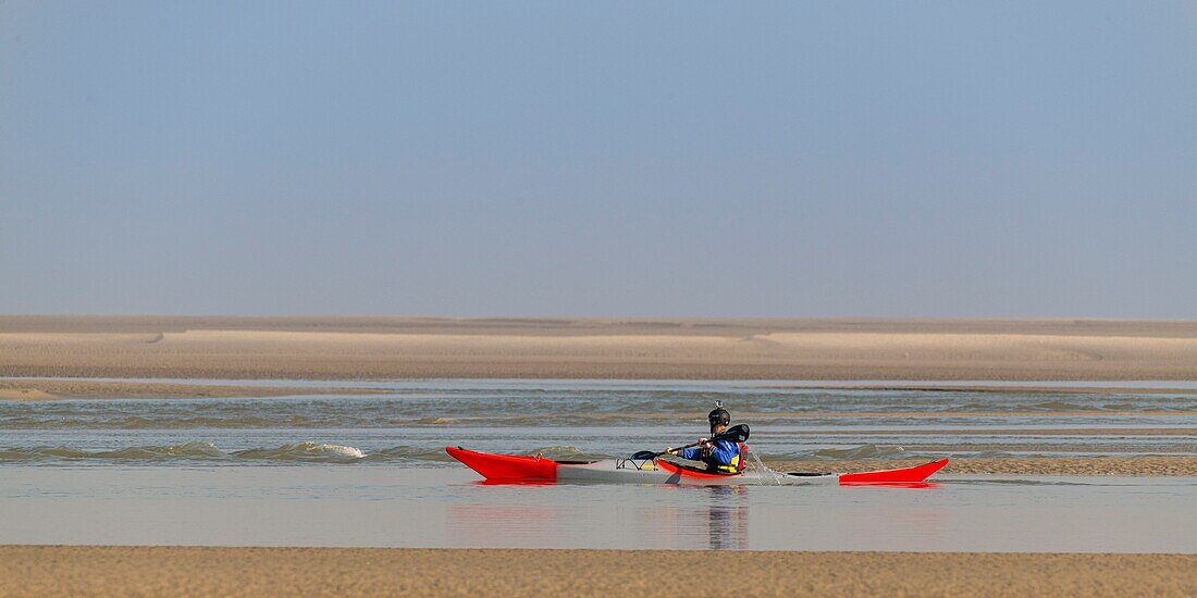 Frankreich,Somme,Baie de Somme,Le Hourdel,Indonesische Kanus und Kajaks bei Flut,die Boote warten auf die Strömung und die Gezeiten am Eingang der Bucht und fahren dann mit Hilfe der starken Strömung hinauf,manchmal in Begleitung von Seehunden,manche lassen ihr Boot auf den Sandbänken liegen, um die von der Flut vertriebenen Vögel zu beobachten