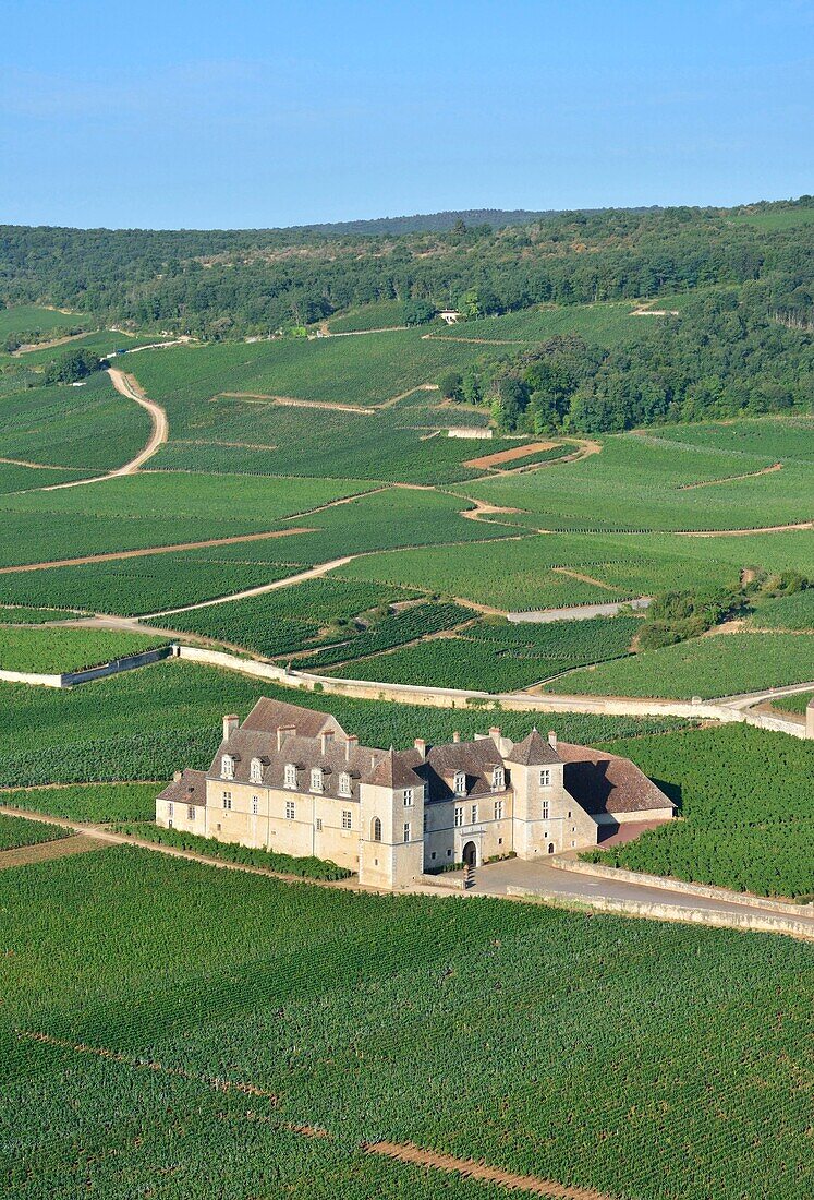 Frankreich,Cote d'Or,Burgunderlandschaften, die von der UNESCO zum Weltkulturerbe erklärt wurden,der Weinberg und das Schloss des Clos Vougeot (Luftaufnahme)