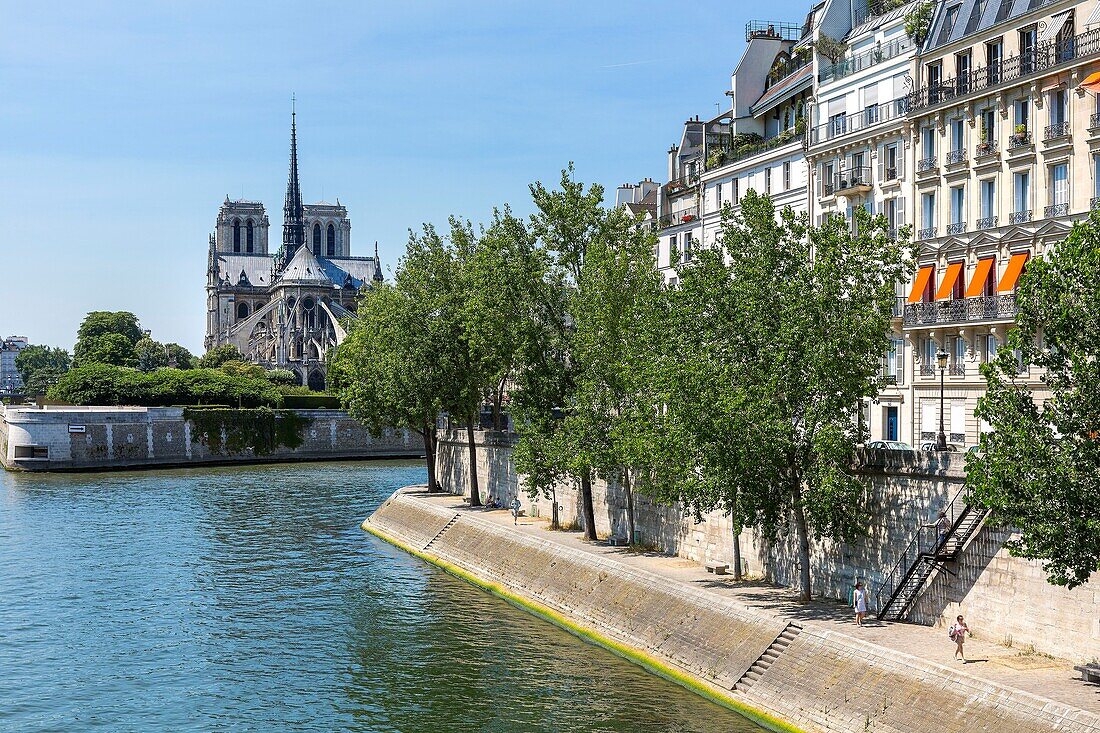 France,Paris,area listed as World heritage by UNESCO,Quai d'Orleans on Ile Saint Louis and Notre-Dame cathedral on the Ile de la Cité