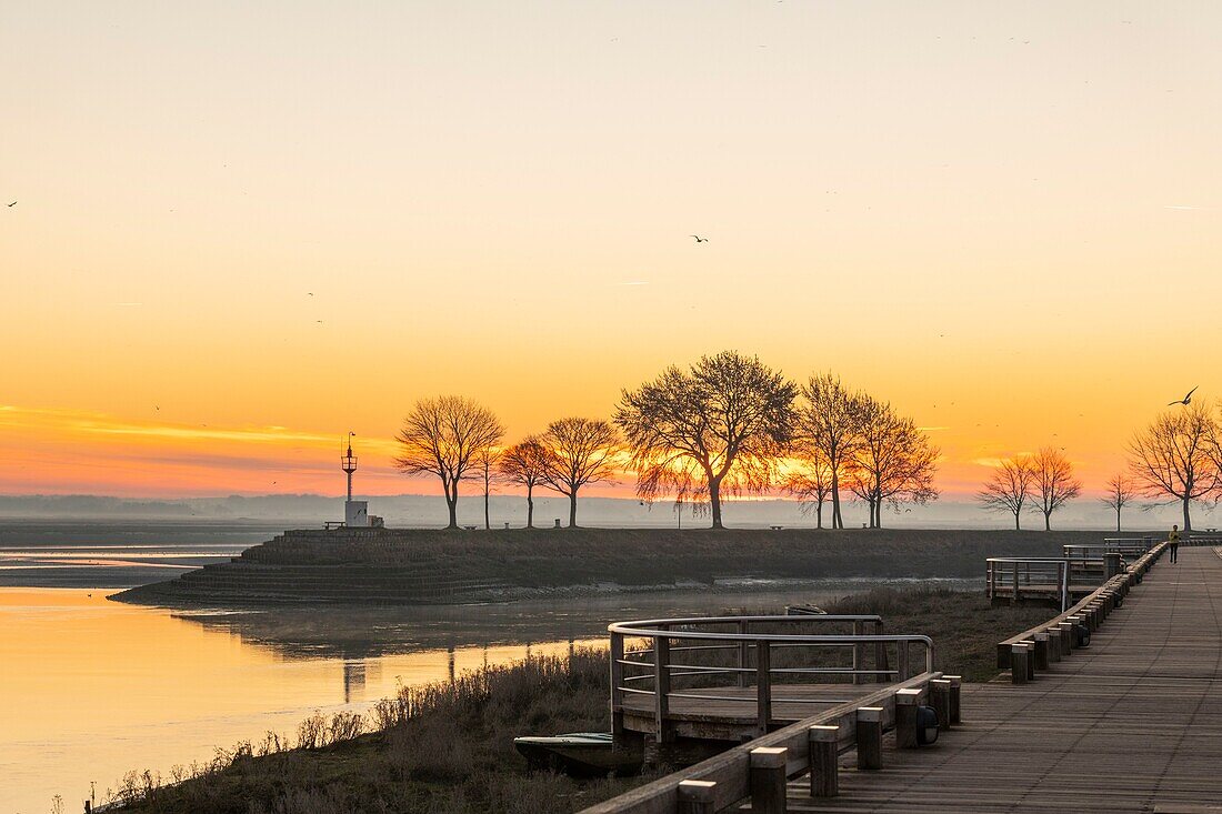 France,Somme,Baie de Somme,Saint-Vaery-sur-Somme,hiver,aube sur la baie depuis les quais de Saint-Valery le long du chenal de la Somme / / France,Somme,Baie de Somme,Dawn on the bay from the quays of Saint-Valery along the channel of the Somme