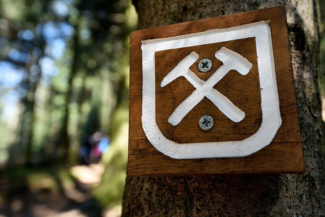 France,Haute Saone,Plancher les Mines,Laurier mining circuit,forest,trail marking on a tree